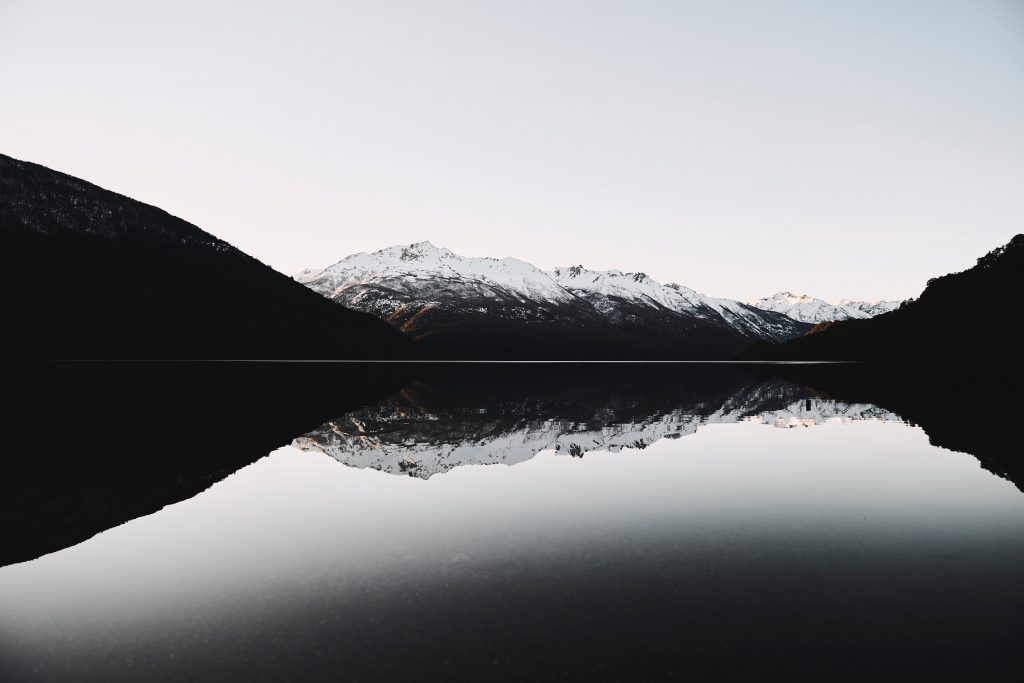 nicolas-moscarda-1366617-unsplash