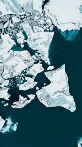 shawn-ang-1353942-unsplash